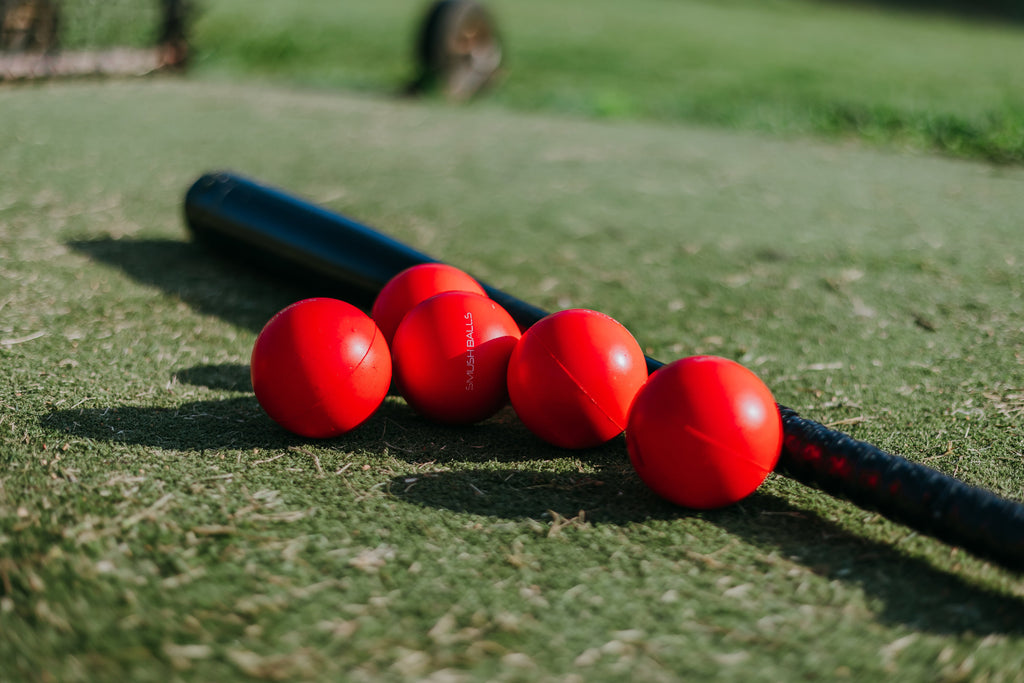Red balls on a black rod on a grassy surface