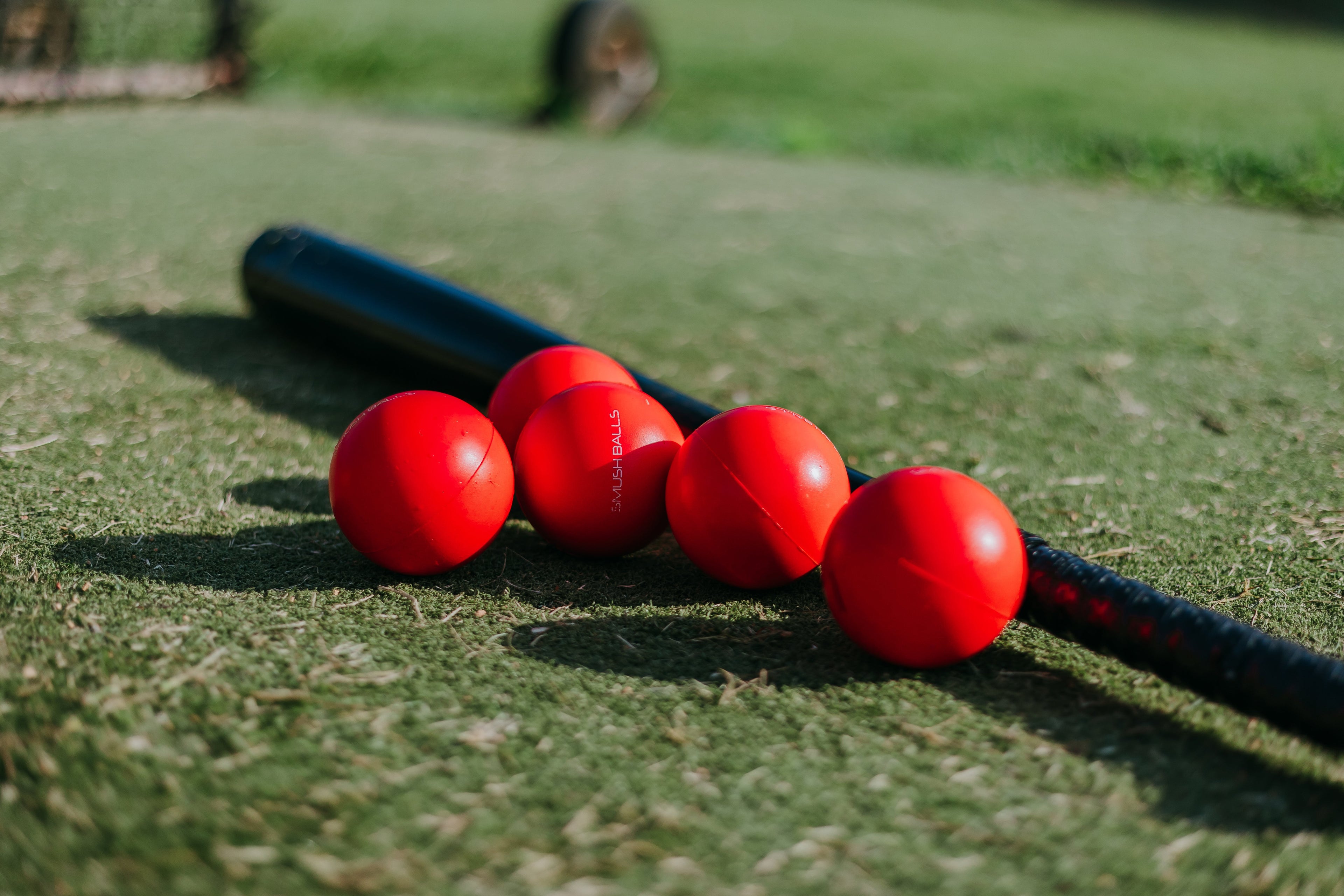 Red balls on a black rod on a grassy surface
